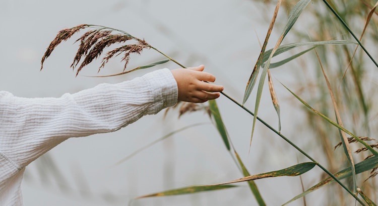 Download Zitate erziehung astrid lindgren For iPhone Free